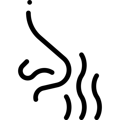 Geurdetectie icon